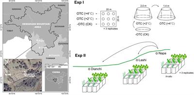 Negative Responses of Wetland Plant Species to Warming Linked to Temperature Artifacts